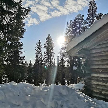 Mantytupa Lodge Syote Exterior photo